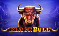 Slot Black Bull™: Petualangan di Padang Gurun Amerika